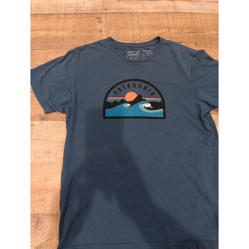 Patagonia Blue Mountain Logo‎ T-Shirt – Size Medium Graphic 2586